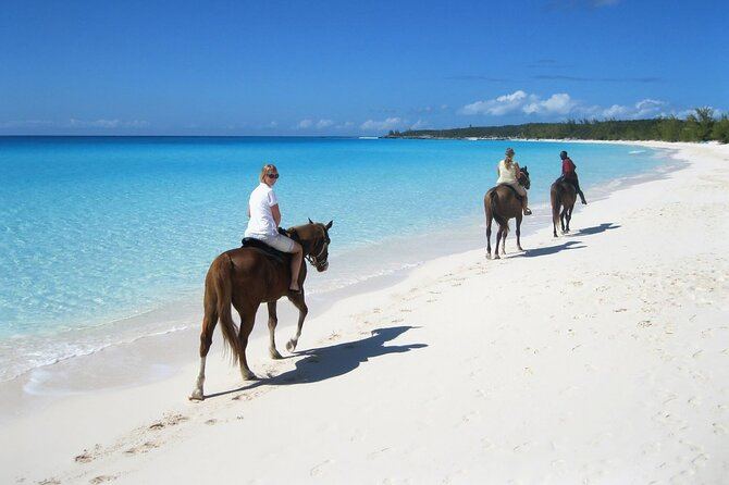 Horseback group